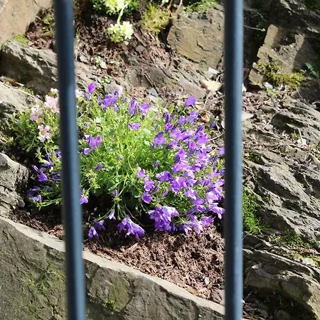 Logierhaus Stadt Lyon Bad Ems