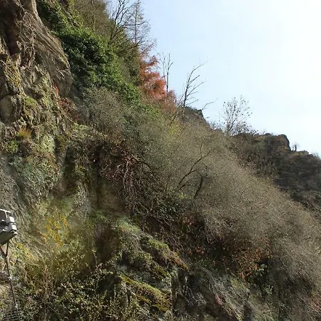 Logierhaus Stadt Lyon Bad Ems