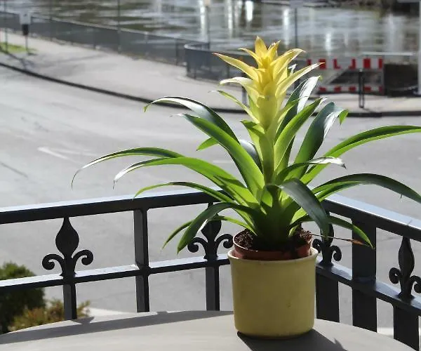 Logierhaus Stadt Lyon * Bad Ems