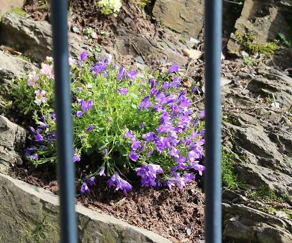 Logierhaus Stadt Lyon Bad Ems